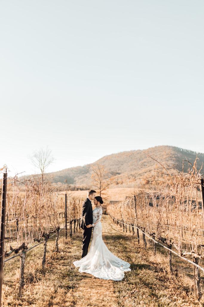 Wedding Couple at Yonah Mountain Vineyard