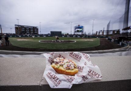 ballpark hotdog at MSU